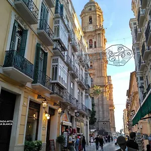 Apartment Luxury Catedral